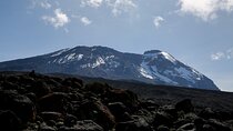 6 days Kilimanjaro Ascent via the Scenic Machame Route