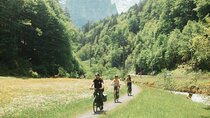 Interlaken Valley E-Bike Tour: Rivers, Lakes, Forests & Castles