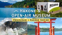Tokyo Hakone : Mt.Fuji, Owakudani, Open Air Museum, Hakone Shrine
