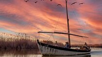 Albufera Natural Park with Boat Tour from Valencia