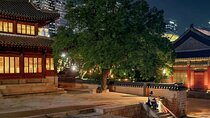 Seoul Evening Tour Palace to Namsan Tower
