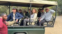 Safari Game Drive