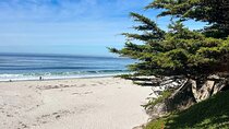 3 Days Private Pacific Tour to Big Sur Hearst Castle and more