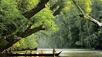 2D1N Taman Negara Rainforest Tour and Boat Ride