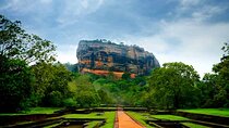 Safari Day Tour to Sigiriya Lion Rock and Golden Cave Temple