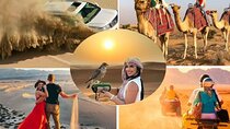 Doha Half Day Desert Safari Dune Bashing CamelRide & Sandboarding