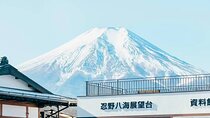 Mt. Fuji and Hakone Day Tour: Cruise, Ropeway and Oshino