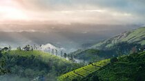 4 Days Private Kerala Tour -Kochi, Munnar, Thekkady with 3* Hotel