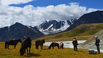 Horse Trekking Tour in Central Mongolia – Nomadic Adventure