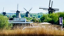 Private tours to Kinderdijk, Delft, The Hague from Amsterdam 8h