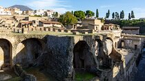 Herculaneum Guided Group Tour from Naples