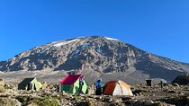  Mount Kilimanjaro Private Tour by Hiking