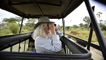 Epic 1 Day Trip to Ngorongoro Crater with Expert Safari Guide