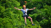 Punta Cana Ziplines, Hanging Bridge, and Waterfall Pool Adventure