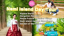 Nami Island/Alpaca/Rail Bike/Petite France/Morning Calm Tour