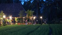 Ubud: Balinese Village Life, Organic Farm Dinner and Firefly Tour