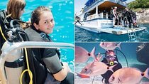 Fethiye Scuba Diving with Lunch and Transfer