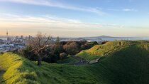 Private Auckland Tour