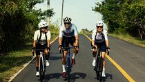 Bike Training in Panama City