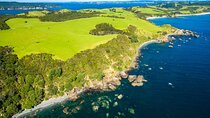 Matakana Explorer Tour