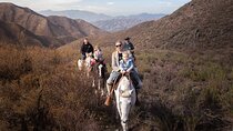 Mendoza Mountains Horseback Adventure & BBQ Lunch