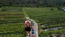 Sidemen Trekking Through Rice Terraces and Villages