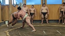 Sumo show and Chanko lunch