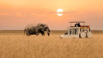 Kenya and Tanzania Expedition Safari Tour