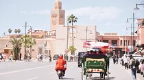 Marrakech half day guided city tour