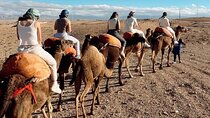 Agafay Half Day Tour Desert Landscape Camel Ride Local Experience