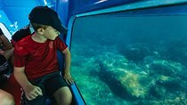 Panorama Semi-Submarine & Snorkeling Experience from Hurghada