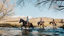 Gold Discovery Trail Horse Trek Cardrona - Most popular!