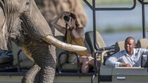 6 Days Amboseli, Naivasha and Masai Mara Safari Experience