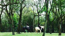 Hanoi Horseback Riding Tour - Exclusive Experience