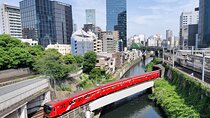 Master Tokyo's public transport and visit hidden neighborhoods