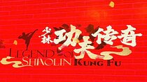 Beijing Evening Kong Fu show with round trip transfer 