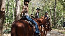 1 Hour Guided Horseback Trail Ride Rock Springs Run State Reserve
