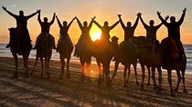 Tangier : Sunset Camel Ride With Barbecue dinner in Tangier 