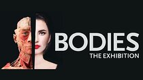 Bodies The Exhibition at the Luxor Hotel and Casino