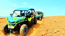 Aruba Northcoast UTV Afternoon Tour 
