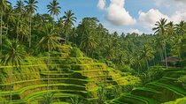 Ubud Cultural and Nature Discovery Full Day Tour