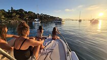 Cannes Relaxation evening in the Lerins Islands Private boat