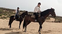 2-Hour Horseback Riding Through Desert Landscapes – Agadir