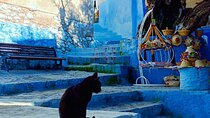 Chefchaouen Day Trip from Fez Group Tour