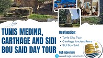 Kings Service: Private VIP Tunis,Carthage and Sidi Bousaid Tour