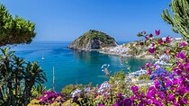Ischia Minivan Tour with Tastings 