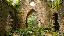 The Other Side of Sintra - Forgotten Woods