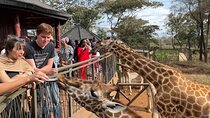 Luxury Guided Tour of Nairobi Culture Nature and Cuisine