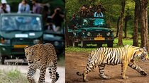 Golden Triangle with Ranthambore & Jhalana Leopard Safari Tour 