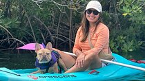 2 Hour Key West Kayak Rental – Discover Mangroves & Wildlife!